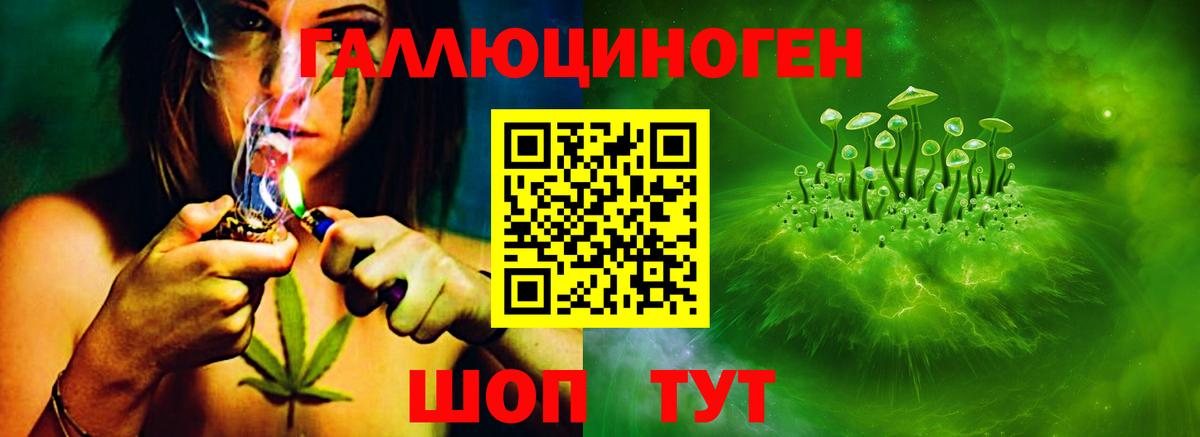 Псилоцибиновые грибы Cubensis Тихвин