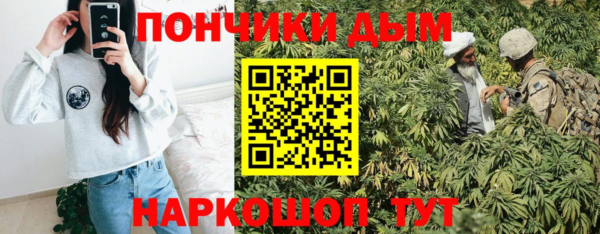 Бошки Шишки план  Вход с VPN  Бошки Шишки THC 21%  Шишки марихуана THC 21%  Тихвин 